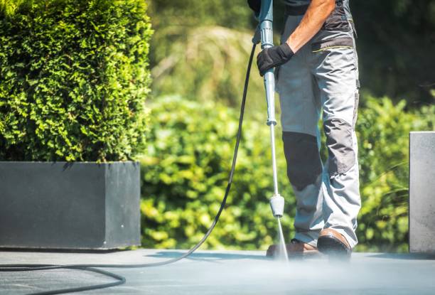 Trusted Maple Park, IL Pressure Washing Services Experts